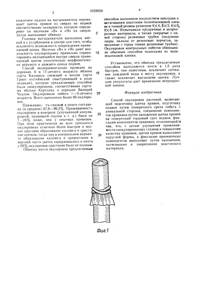 Способ окулировки растений (патент 1628950)