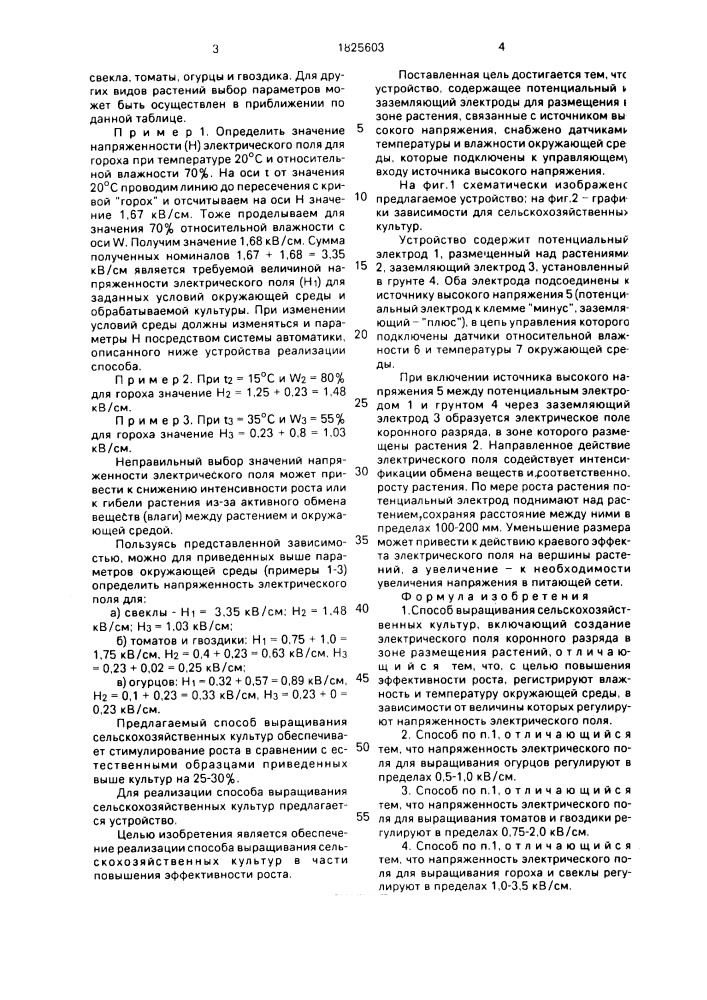 Способ выращивания сельскохозяйственных культур и устройство для его осуществления (патент 1825603)