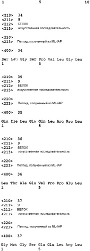 Белки, относящиеся к семейству всl-2, и их фрагменты и их применение у пациентов со злокачественной опухолью (патент 2367468)
