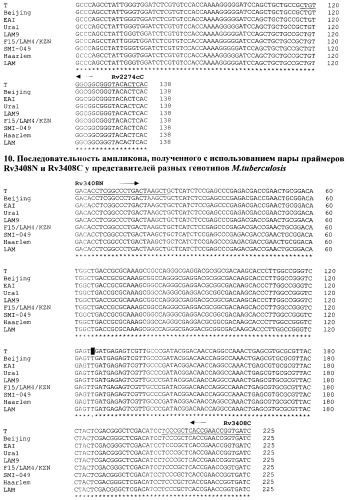 Способ генотипирования штаммов mycobacterium tuberculosis (патент 2547598)