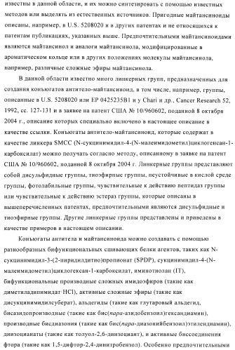 Композиции и способы диагностики и лечения опухоли (патент 2423382)