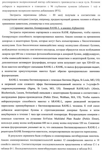 Аминокислотные последовательности, направленные на rank-l, и полипептиды, включающие их, для лечения заболеваний и нарушений костей (патент 2481355)