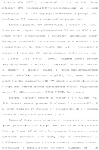 Слитые белки альбумина (патент 2369404)