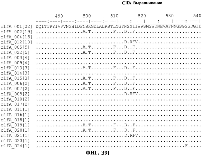 Стабильные иммуногенные композиции антигенов staphylococcus aureus (патент 2570730)