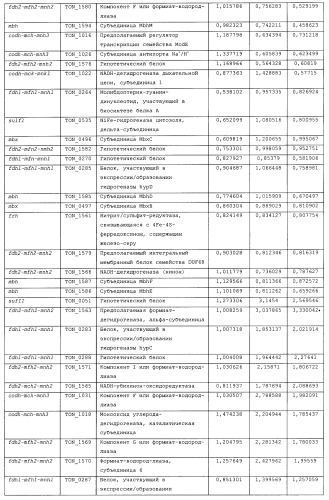 Новая гидрогеназа seq id no:5, очищенная из thermococcus onnurienus na1 с помощью моноokcида углерода, кодирующие ее гены, и способы получения водорода с использованием микроорганизма, имеющего указанные гены (патент 2460789)