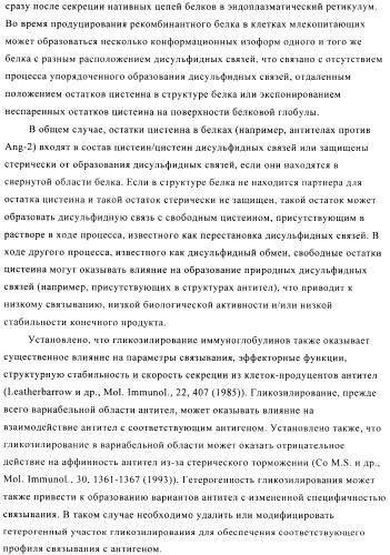 Стабилизированные антитела против ангиопоэтина-2 и их применение (патент 2509085)