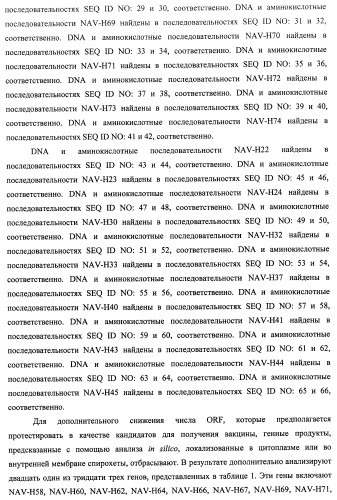 Гены и белки brachyspira hyodysenteriae и их применение (патент 2440369)