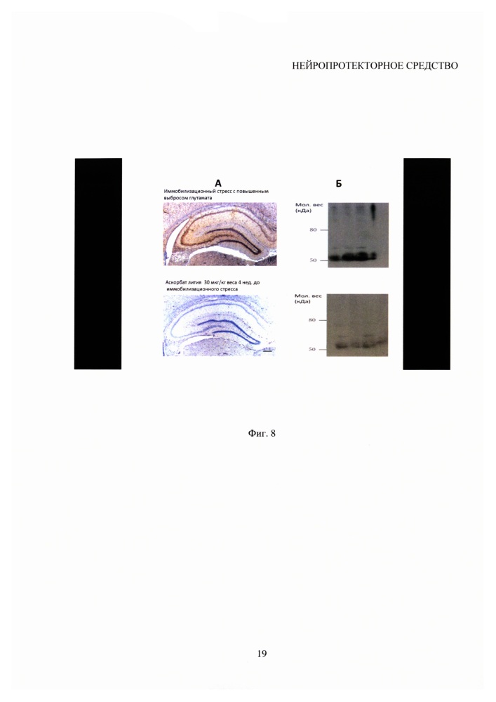 Нейропротекторное средство (патент 2614697)