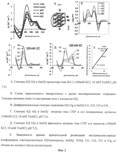 Способ получения неприродных искусственных олигонуклеотидов, потенциально способных образовывать несовершенные g-квадруплексы (патент 2509802)