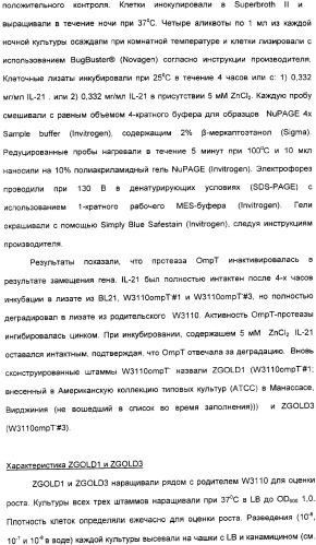 Продуцирование il-21 в прокариотических клетках-хозяевах (патент 2354703)