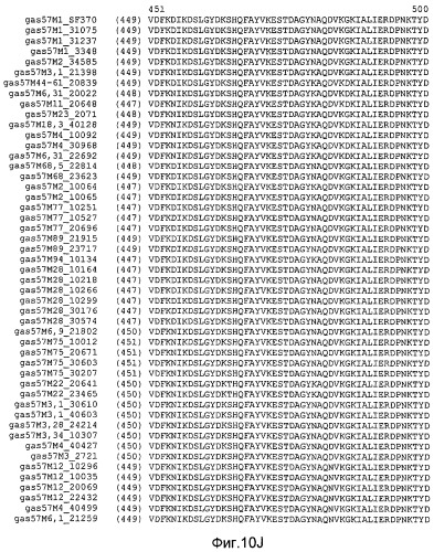 Мутантные антигены gas57 и антитела против gas57 (патент 2471497)