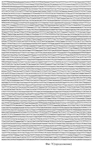 Применение рам (патент 2345785)