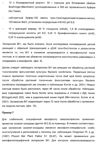 Способ повышения стойкости к стрессовым факторам в растениях (патент 2375452)