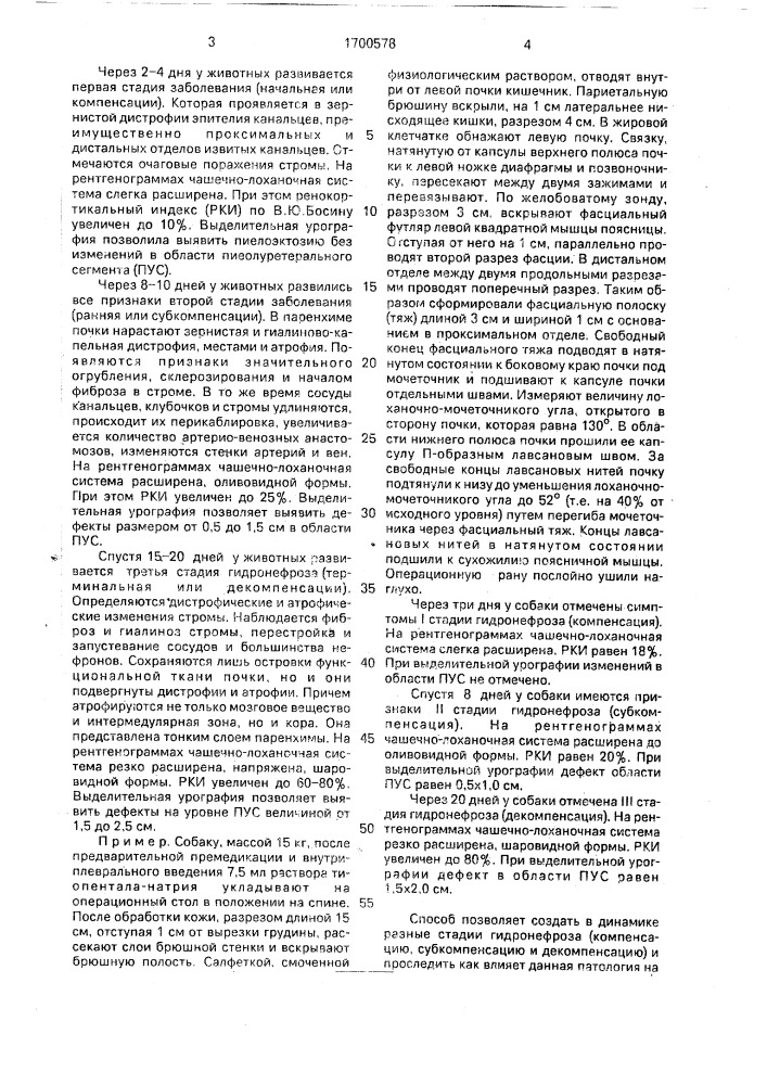 Способ моделирования гидронефроза (патент 1700578)