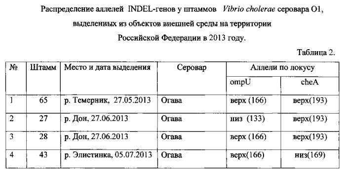 Способ молекулярно-генетического внутривидового типирования v. cholerae о1 и о139 серогрупп (патент 2575046)