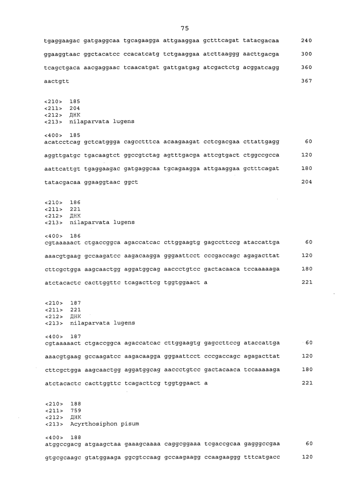 Подавление экспрессии генов у насекомых-вредителей (патент 2653752)