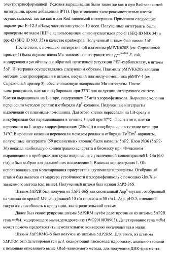 Бактерия семейства enterobacteriaceae - продуцент l-аспарагиновой кислоты или метаболитов, производных l-аспарагиновой кислоты, и способ получения l-аспарагиновой кислоты или метаблитов, производных l-аспарагиновой кислоты (патент 2472853)