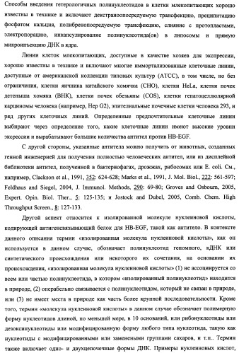 Белки, связывающие антиген фактор роста, подобный гепаринсвязывающему эпидермальному фактору роста (патент 2504551)