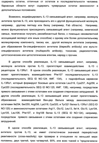 Il-13 связывающие агенты (патент 2434881)