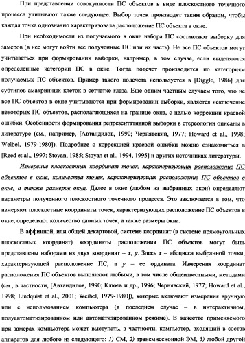 Стереологический способ определения пространственной корреляции вытянутых объектов (патент 2326441)