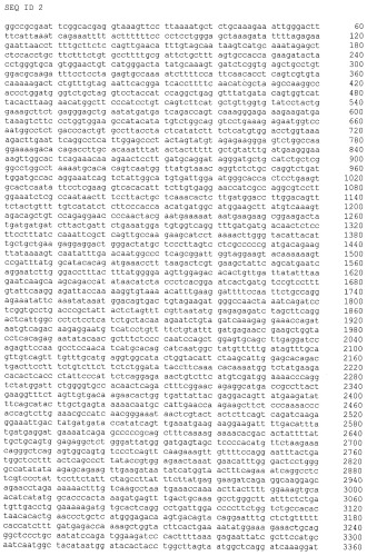 Экспрессионная генетическая конструкция poptivec/f8bdd, кодирующая рекомбинантный фактор свертываемости крови viii человека с делецией в-домена, и клеточная линия dg-ov-f8bdd-18, продуцирующая рекомбинантный фактор свертываемости крови viii человека с делецией в-домена (патент 2429294)