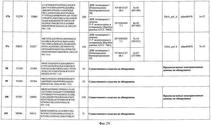 Бактериофаг, обладающий активностью против pseudomonas aeruginosa, белки бактериофага и способы их применения (патент 2580248)