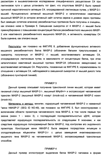 Способ лечения заболеваний, связанных с masp-2-зависимой активацией комплемента (варианты) (патент 2484097)