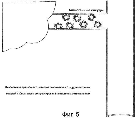 Система доставки нуклеиновых кислот (патент 2294192)