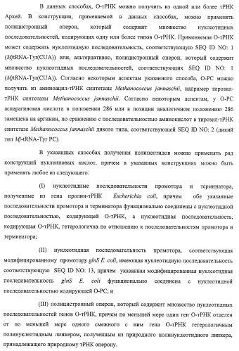 Система экспрессии компонентов ортогональной трансляции в эубактериальной клетке-хозяине (патент 2467069)