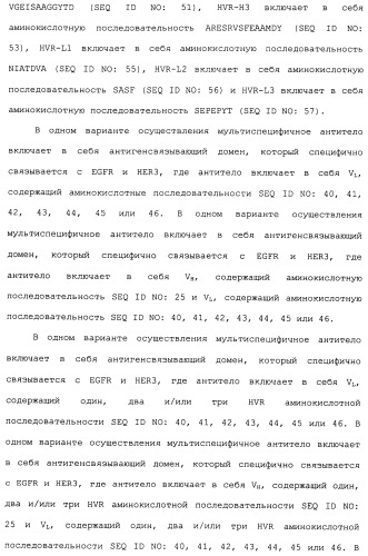 Антитела к her (патент 2504553)