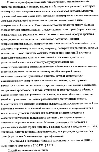 Вариант кукурузы mir604 (патент 2351122)