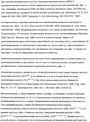 Способ получения полиненасыщенных жирных кислот в трансгенных растениях (патент 2449007)