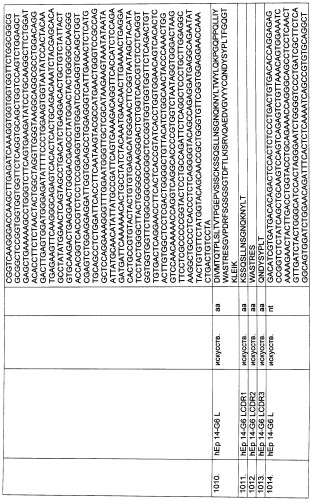 Pscaxcd3, cd19xcd3, c-metxcd3, эндосиалинxcd3, epcamxcd3, igf-1rxcd3 или fap-альфаxcd3 биспецифическое одноцепочечное антитело с межвидовой специфичностью (патент 2547600)