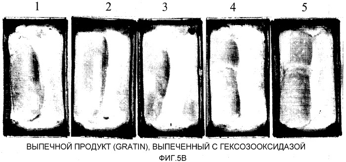 Способ предотвращения или уменьшения реакции майяра в пищевом продукте, применение фермента для этого и пищевой продукт, полученный этим способом (патент 2312569)