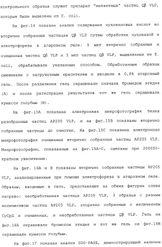 Композиции, содержащие cpg-олигонуклеотиды и вирусоподобные частицы, для применения в качестве адъювантов (патент 2322257)