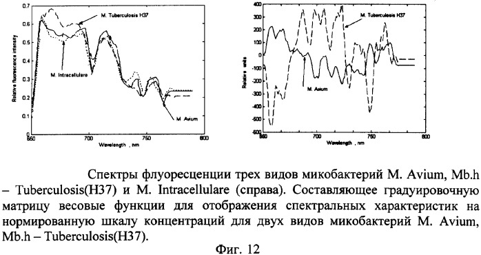 Способ дифференциальной диагностики микробов и сложных аминокислот (патент 2362145)