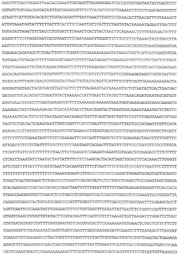 Применение s1p (патент 2362565)