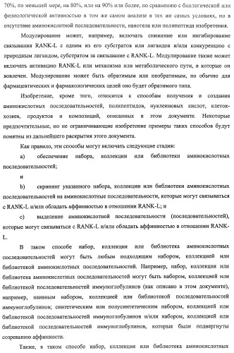 Аминокислотные последовательности, направленные на rank-l, и полипептиды, включающие их, для лечения заболеваний и нарушений костей (патент 2481355)