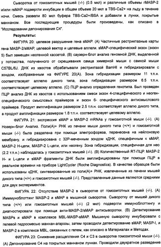 Способ лечения заболеваний, связанных с masp-2-зависимой активацией комплемента (варианты) (патент 2484097)