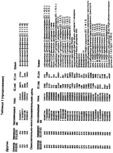 Гены corynebacterium glutamicum, кодирующие белки, участвующие в метаболизме углерода и продуцировании энергии (патент 2310686)