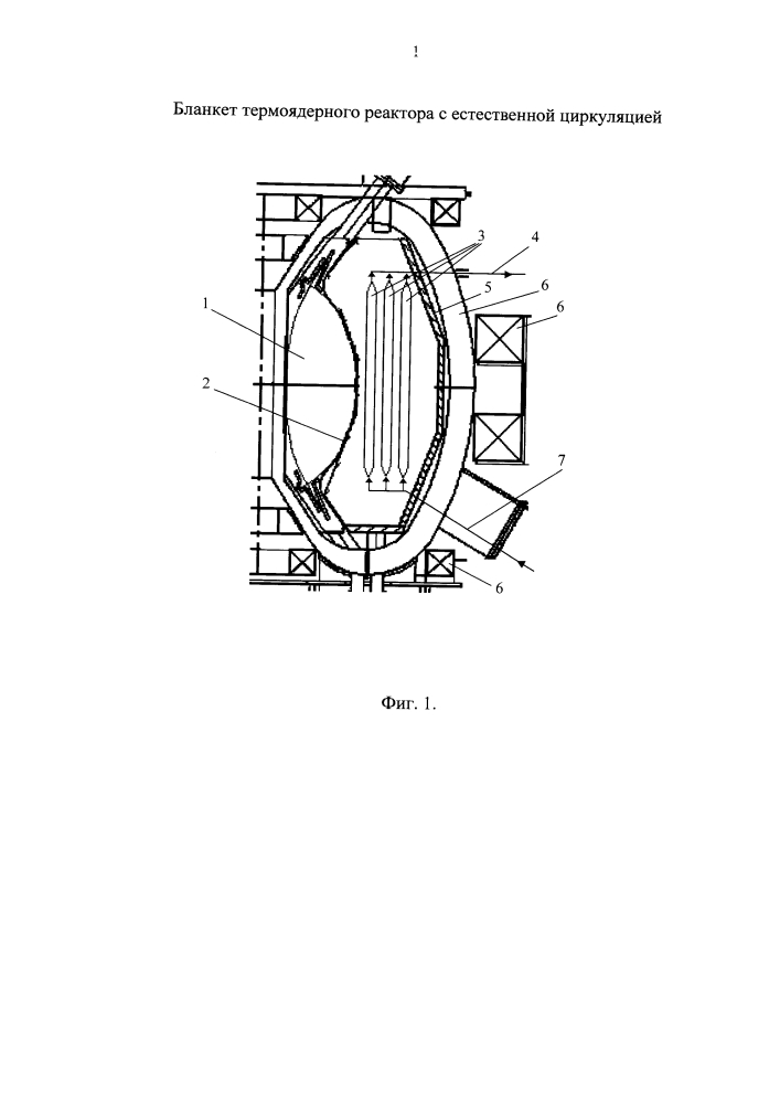 Бланкет термоядерного реактора с естественной циркуляцией (патент 2633419)
