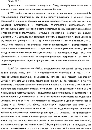 Генетически кодируемые флюоресцентные кумариновые аминокислоты (патент 2473690)