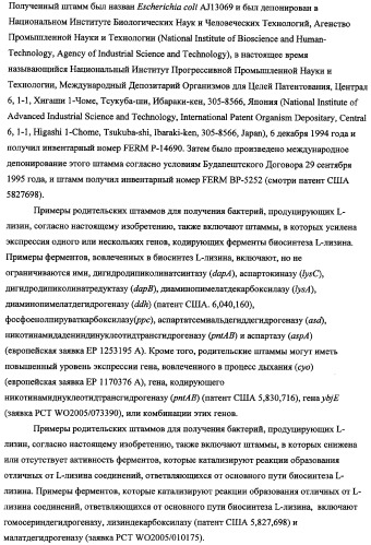 Способ получения l-треонина с использованием бактерии, принадлежащей к роду escherichia, в которой инактивирован ген fhua (патент 2333955)