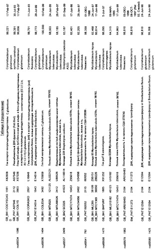 Гены corynebacterium glutamicum, кодирующие белки метаболических путей (патент 2306339)