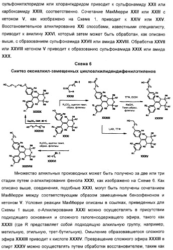 Циклоалкилиденовые соединения, фармацевтическая композиция на их основе, их применение и способ селективного связывания er - и er -эстрогеновых рецепторов (патент 2345981)