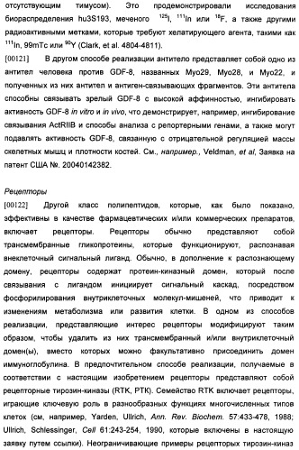 Получение рекомбинантного белка pфно-lg (патент 2458988)