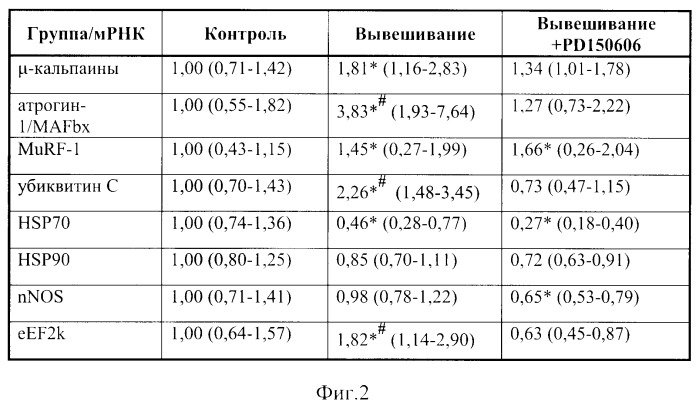 Средство для профилактики и снижения деструкции белков скелетных мышц при их атрофии, вызванной гипокинезией и/или гравитационной разгрузкой (патент 2517576)