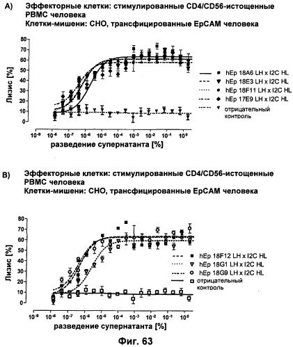 Pscaxcd3, cd19xcd3, c-metxcd3, эндосиалинxcd3, epcamxcd3, igf-1rxcd3 или fap-альфаxcd3 биспецифическое одноцепочечное антитело с межвидовой специфичностью (патент 2547600)