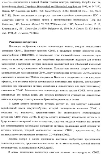 Моновалентные композиции для связывания cd40l и способы их применения (патент 2364420)