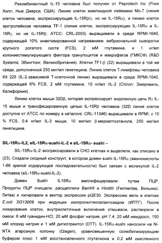 Соединение, предназначенное для стимуляции пути передачи сигнала через il-15rбета/гамма, с целью индуцировать и/или стимулировать активацию и/или пролиферацию il-15rбета/гамма-положительных клеток, таких как nk-и/или t-клетки, нуклеиновая кислота, кодирующая соединение, вектор экспрессии, клетка-хозяин, адъювант для иммунотерапевтической композиции, фармацевтическая композиция и лекарственное средство для лечения состояния или заболевания, при котором желательно повышение активности il-15, способ in vitro индукции и/или стимуляции пролиферации и/или активации il-15rбета/гамма-положительных клеток и способ получения in vitro активированных nk-и/или t-клеток (патент 2454463)